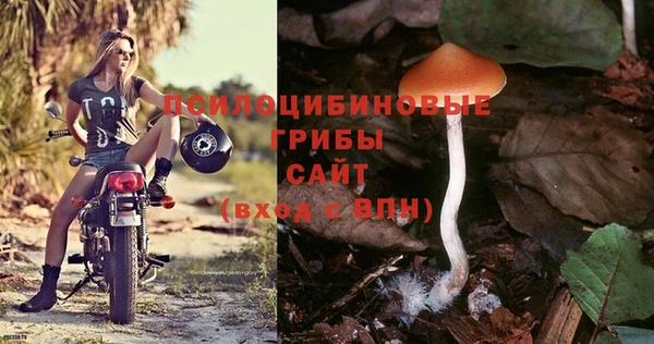 экстази Алексин