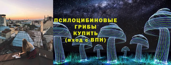 экстази Алексин