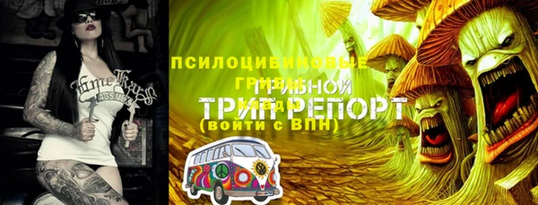 экстази Алексин